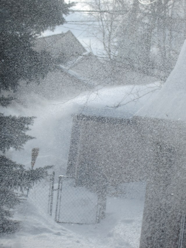 out the kitchen window.