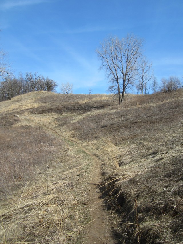 The day before trouting