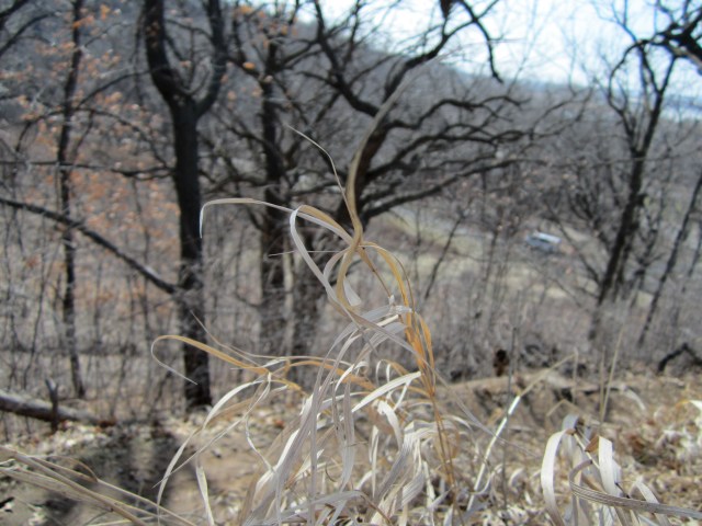 Everybody says... I'm going the right thing.