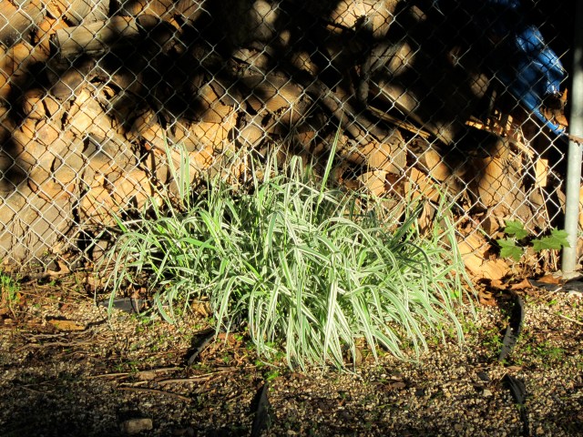 In the middle of the night