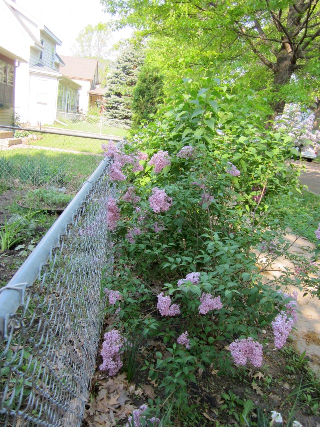 serious immobilities